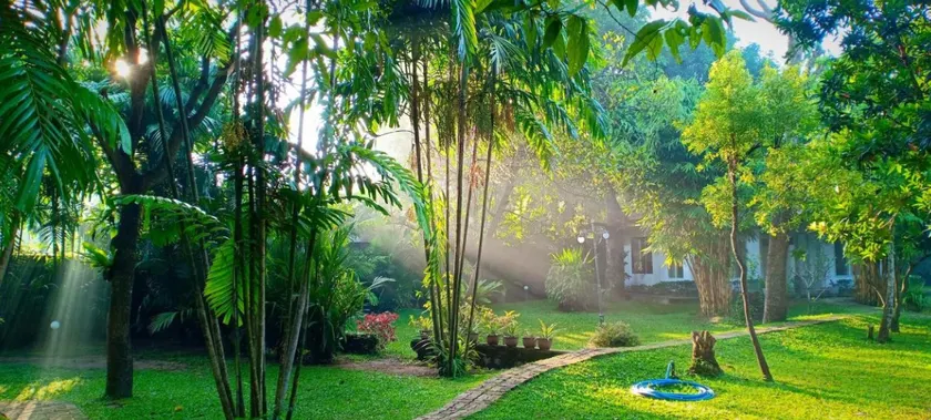 Mango House Japanese Guest House - Image 1
