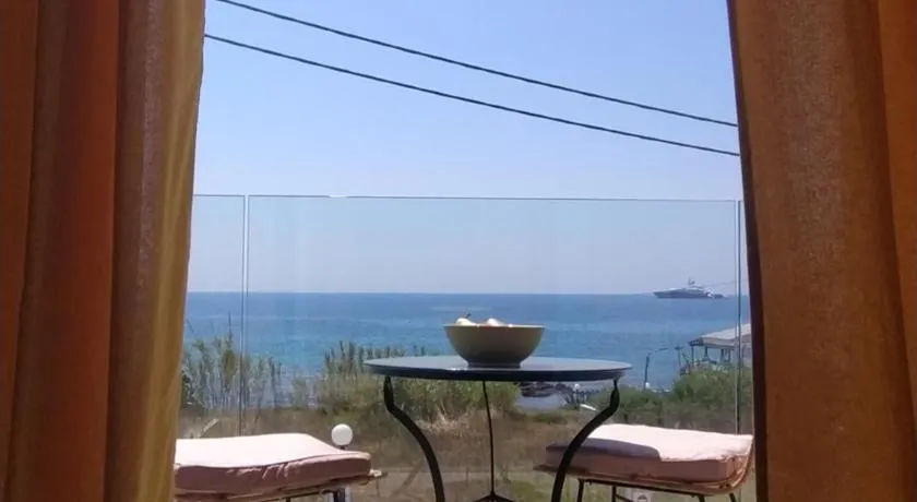 Sole Verde - Image 1