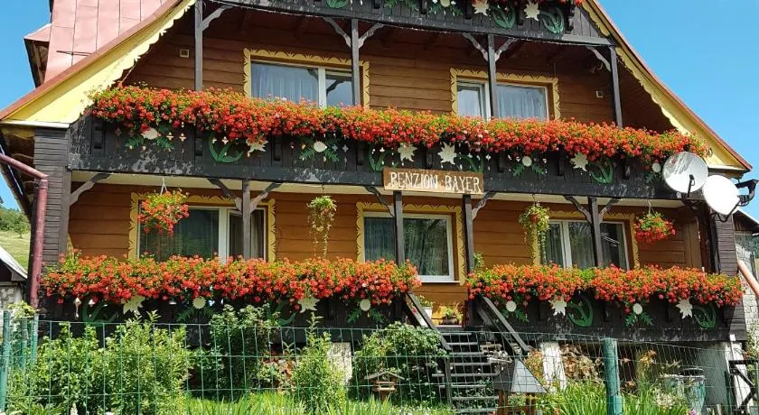 Privát Bayer - Image 1
