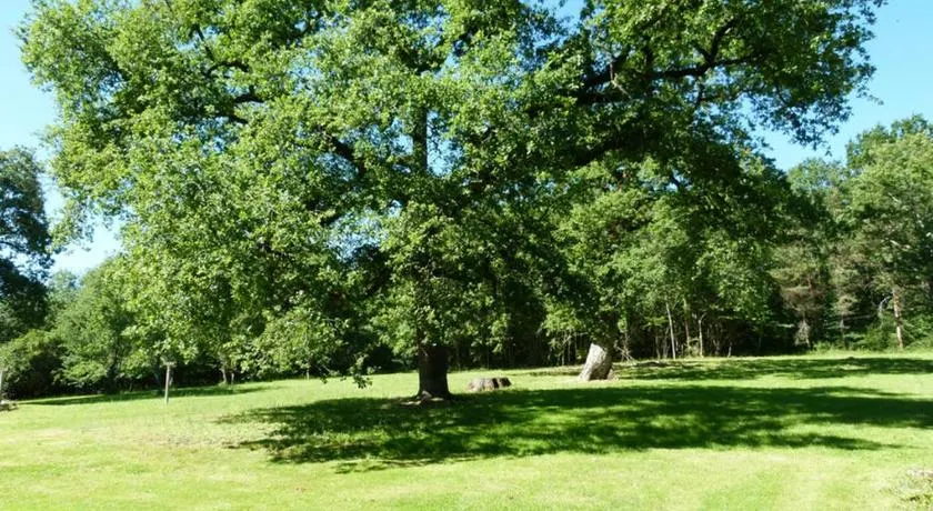 Gîte en Brenne Les Chênes - Image 1
