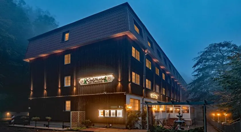 Waldhotel Harz Ilsenburg - Image 1