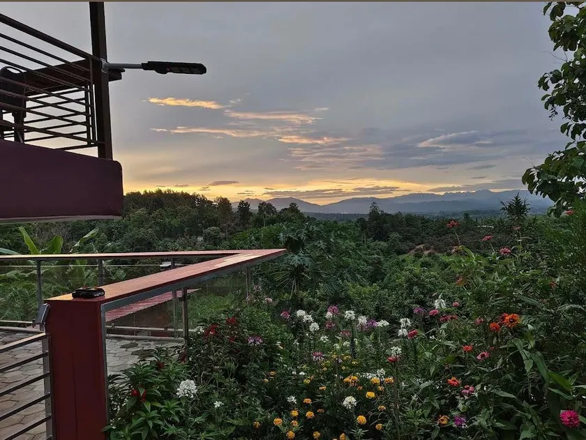 MJ Homestay & Camping - Image 1