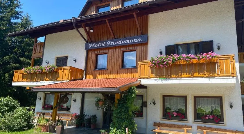 Hotel Friedemann - Image 1