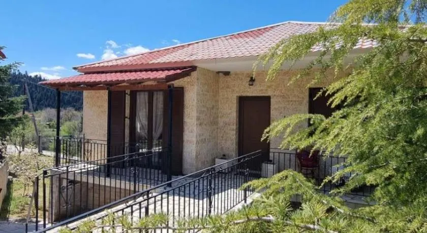 Tsigaridas Mountain Home - Image 1