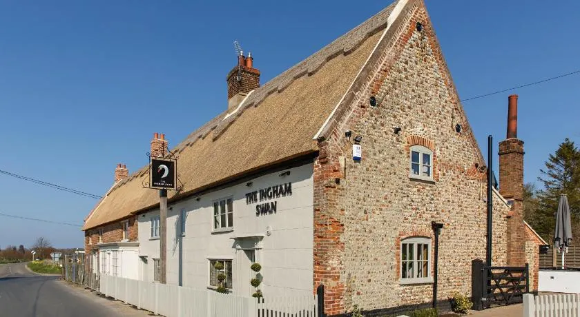 The Ingham Swan - Image 1