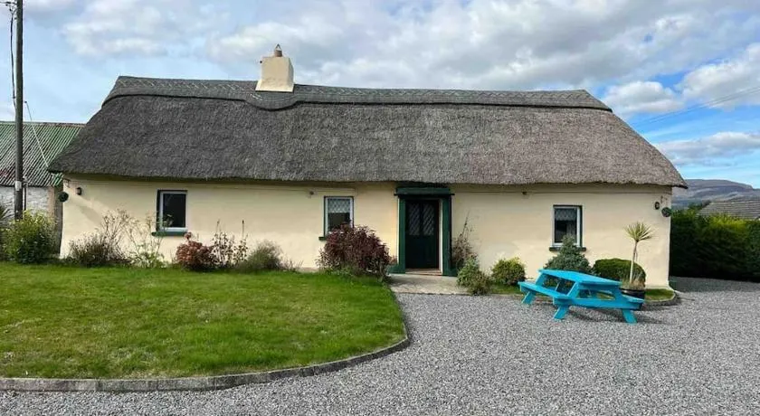 The Old Thatch, Lemybrien - Image 1
