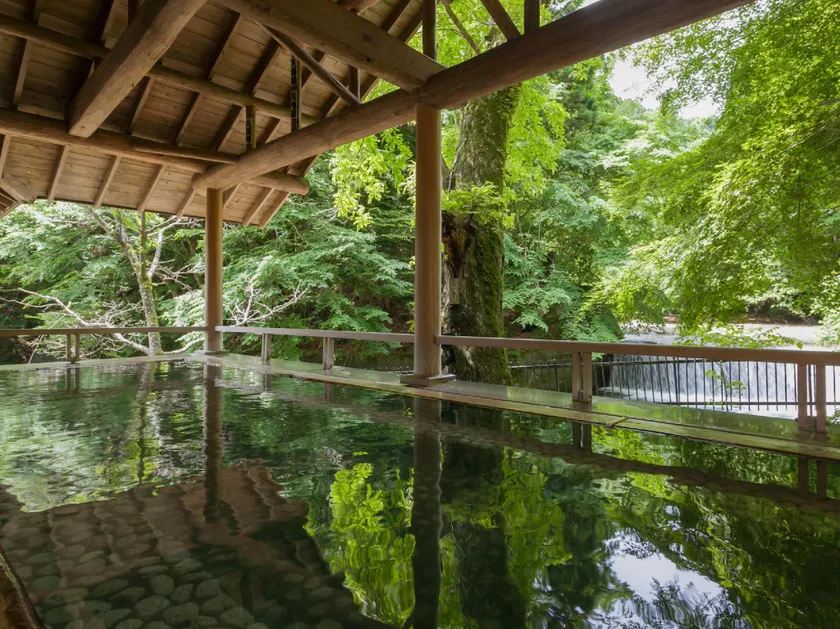 Shima Tamura - Image 1