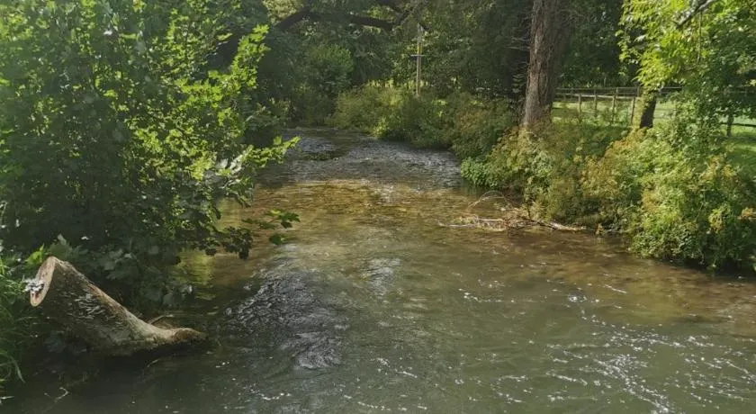 Fisherman's Cabin on the banks of the River Meon - Image 1