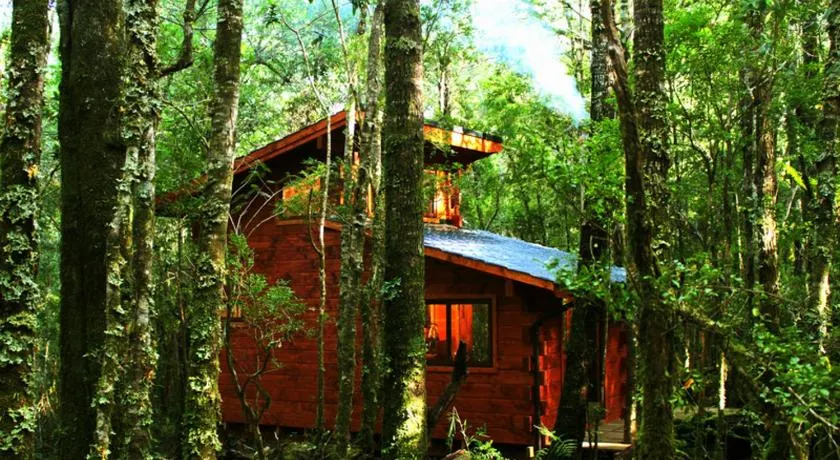 Cabañas Bosque Milenario - Image 1
