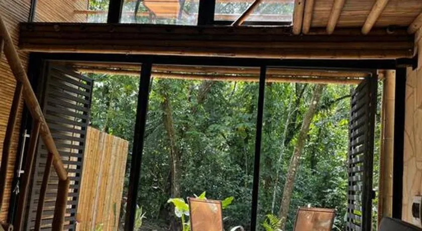 Cabaña de Bambú en la Selva - Image 1