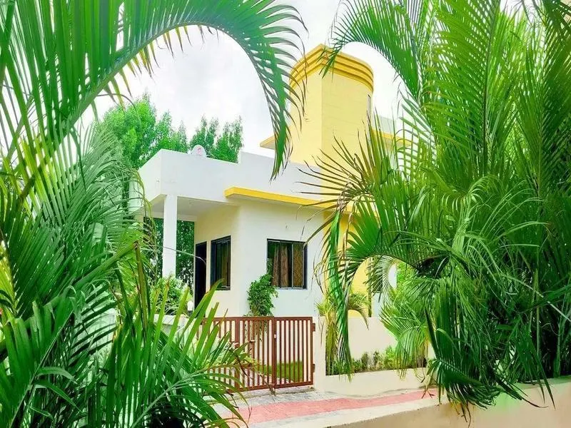 yolofarm255 - Image 1