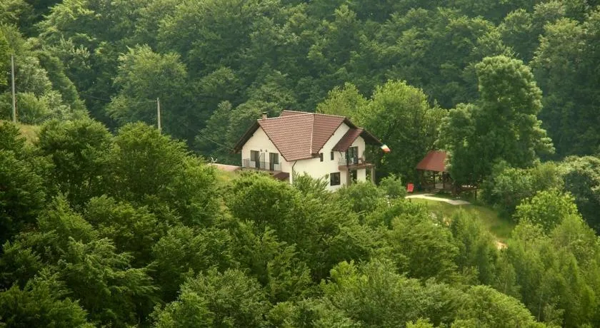 Pensiunea 7 Brazi II - Image 1
