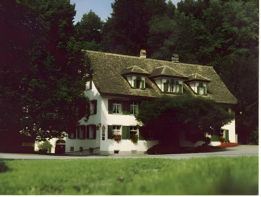 Hotel Krone Sihlbrugg - Image 1
