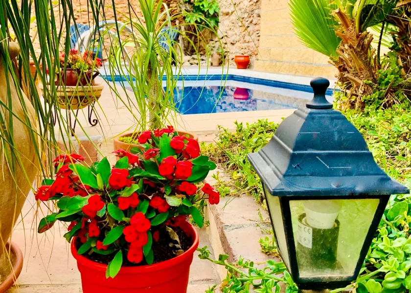 Boutique Hostal Lorca - Image 1