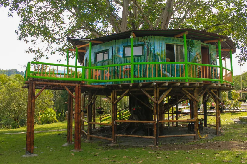 CASA DEL ÁRBOL FINCA LA FLORESTA VERDE - Image 1