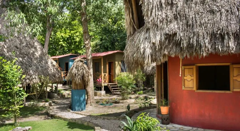 Alice Guesthouse - Image 1