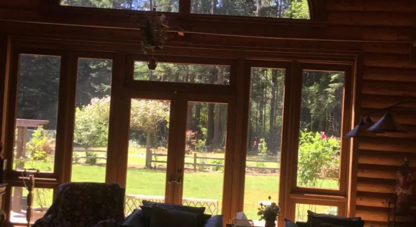 Redwood forest - Image 1