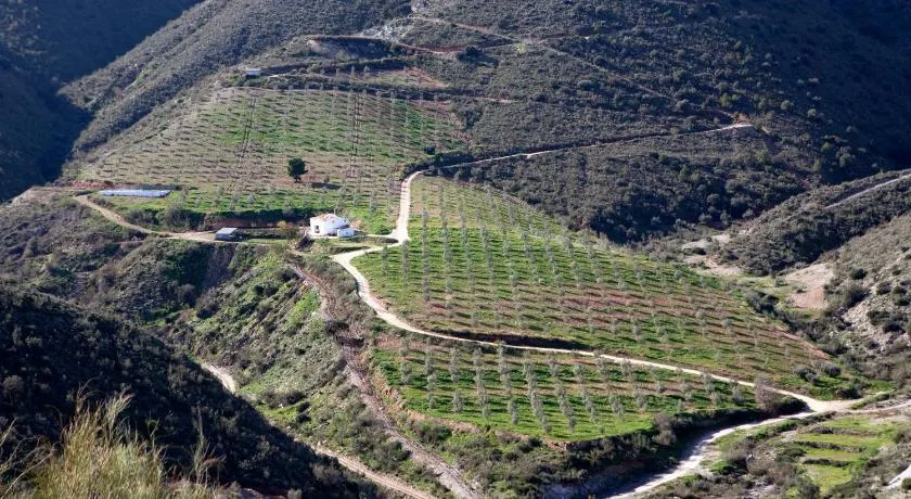 Cortijo El Rancho - Image 1
