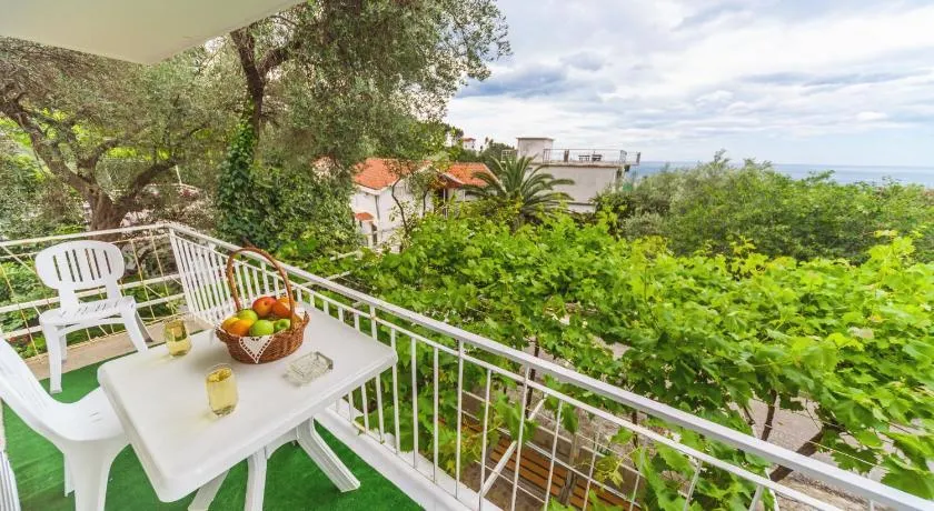 Apartmani Steni - Image 1
