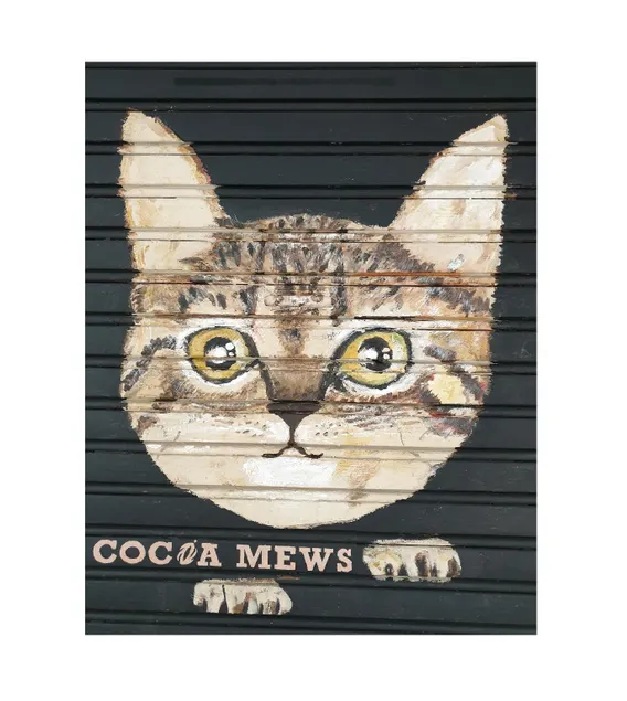Cocoa Mews Cafe and Homestay - Image 1