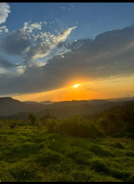 Cedar Glen Farmstay - Image 1
