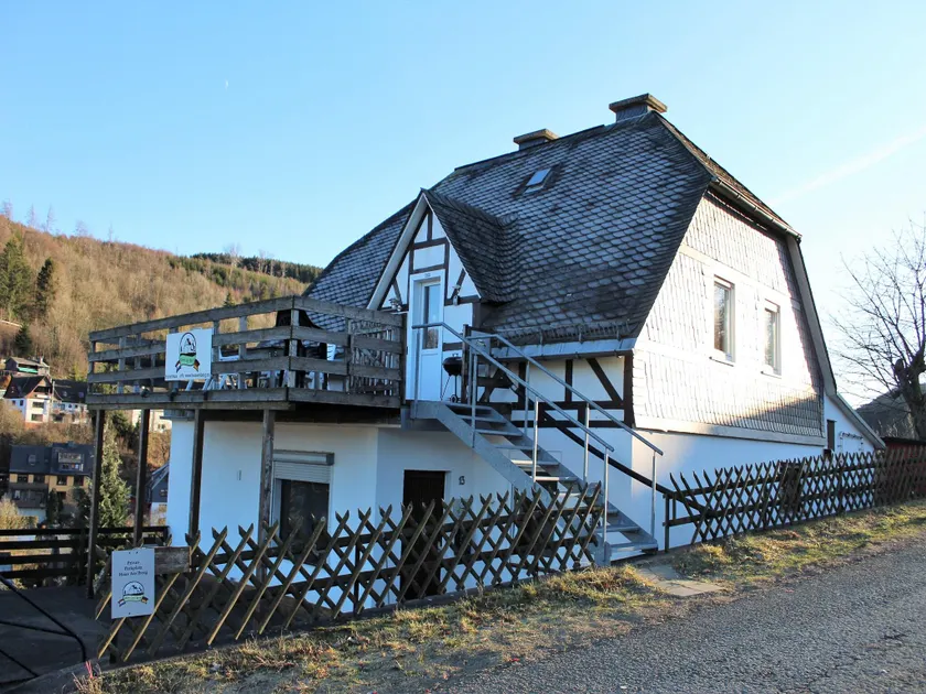 Helle Wohnung bei Willingen mit Terrasse - Image 1