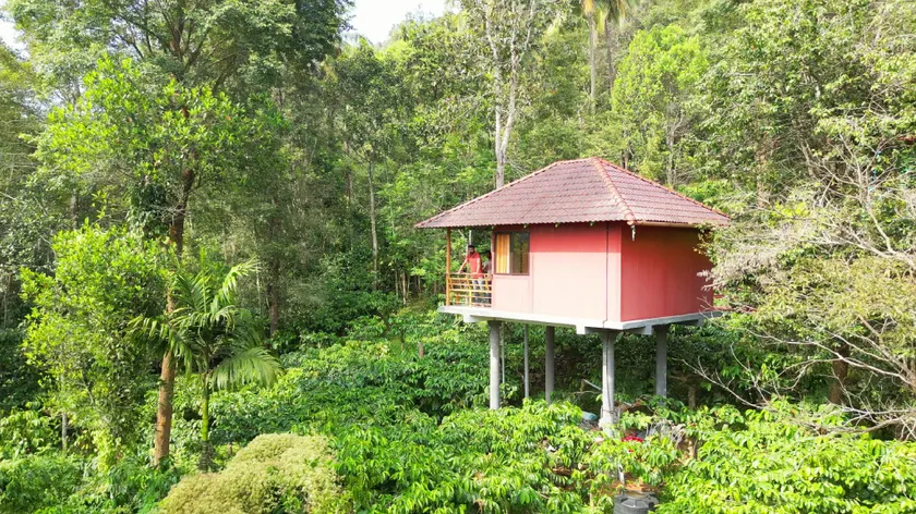 Tree House - Image 1