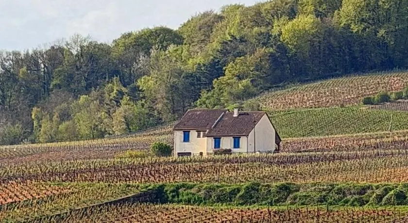 EntreVignes Gîte 6 personnes au cœur des vignes de Champagne - Image 1