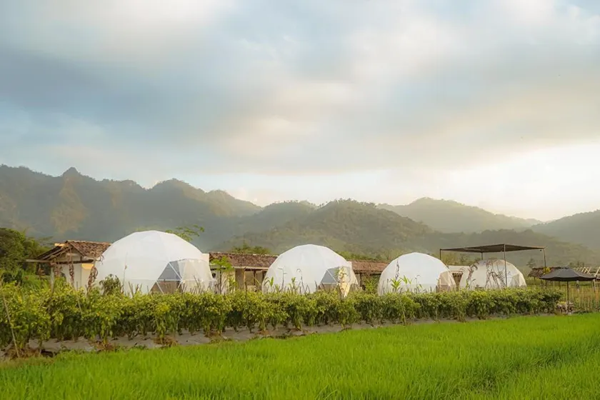 Borobudur Luxury Glamping - Image 1