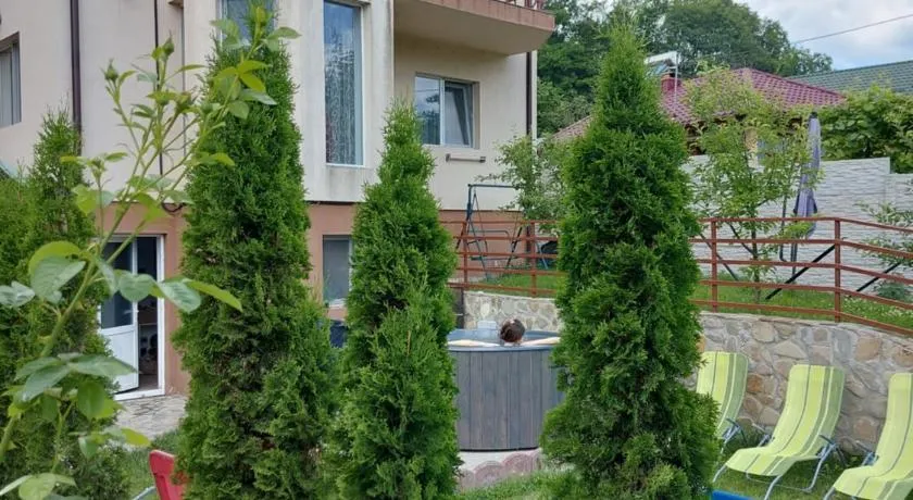 Pensiunea Casuta cu Trandafiri 2 - Image 1