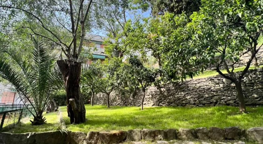 Blue Garden - Image 1