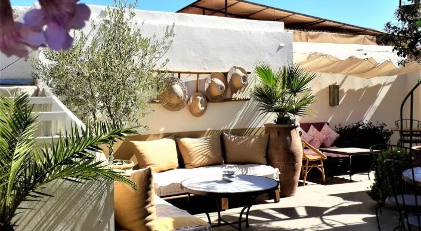 Riad Safina - Image 1