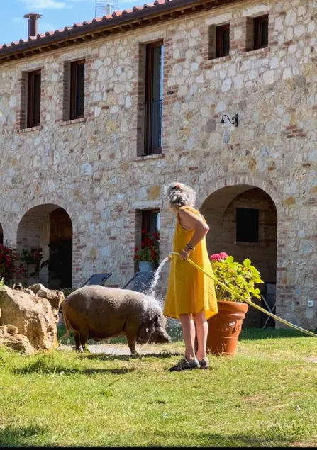 Agriturismo Sole - Image 1