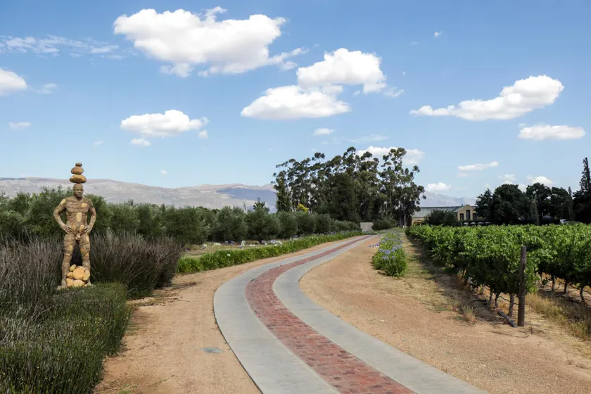 Saronsberg Vineyard Cottages - Image 1
