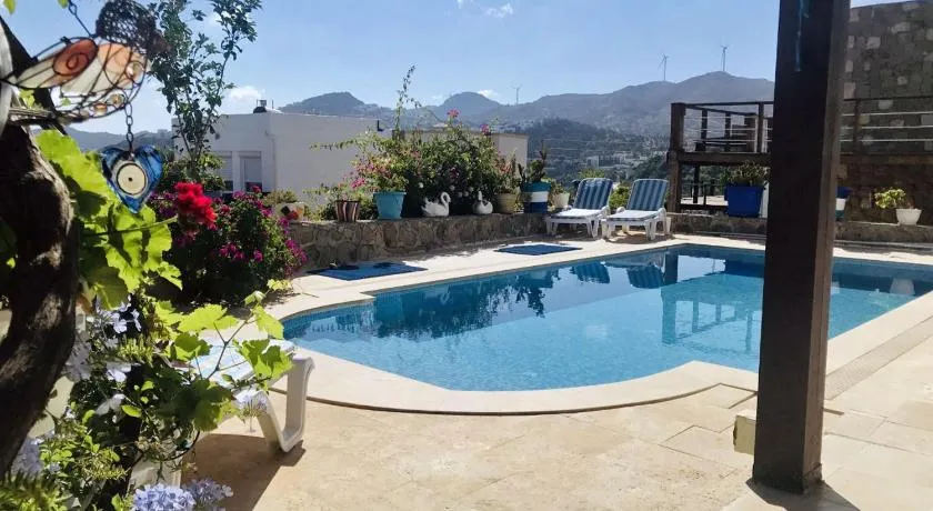 Villa Priene - Gumusluk Private Pool - Image 1