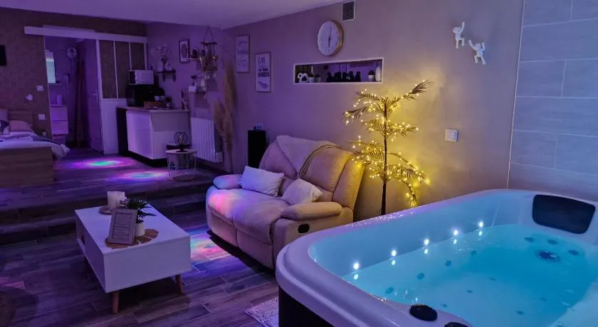 Studio avec jacuzzi , terrasse amenagée et wifi à Westrehem - Image 1