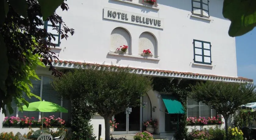 Hotel Bellevue de tradition familiale - Image 1