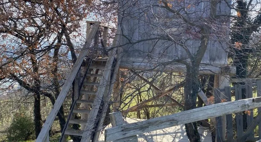 Mon rêve de garçon - Cabanes connectées à la nature - Image 1