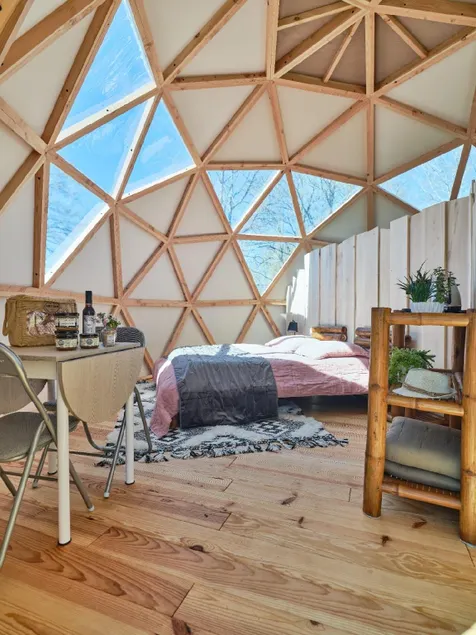 Geodesic dome! Last-minute PROMO! - Image 1