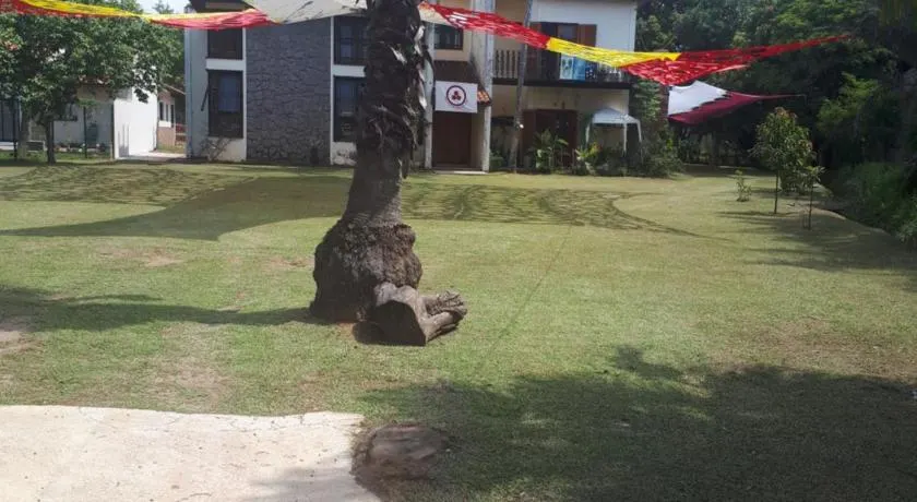 Terapias integrativas do Sandrin - Image 1