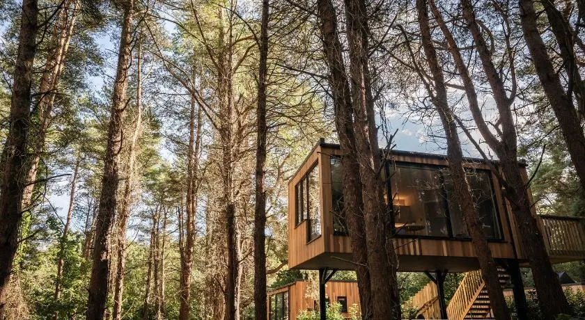 Burrenmore Nest - Luxury Forest Lodges with Hot Tubs & Sauna - Image 1