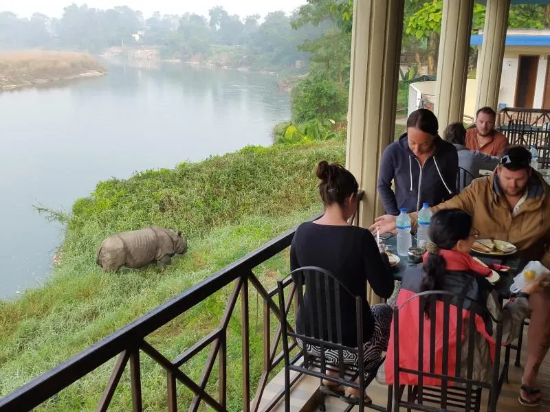 Jungle Wildlife Camp - Image 1