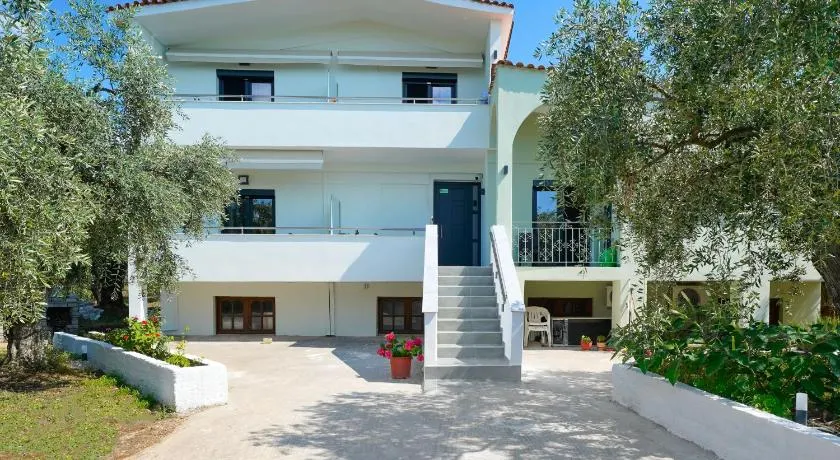 Sofia's Olive Grove - Image 1