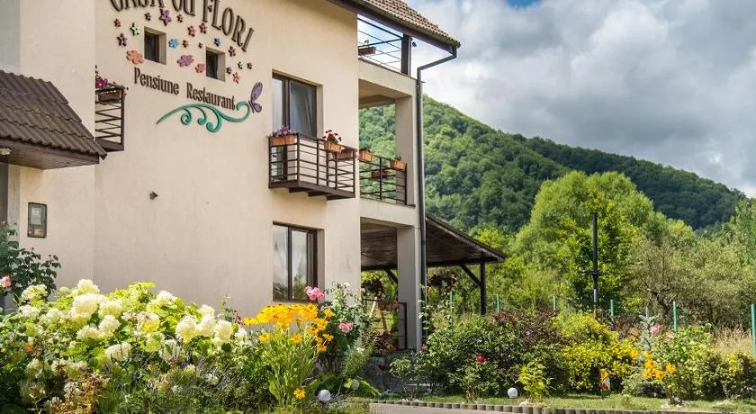 Pensiunea Casa cu Flori - Image 1