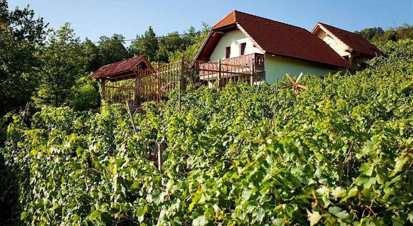 Holiday Home In Otocec Kranjska Krain 26062 - Image 1