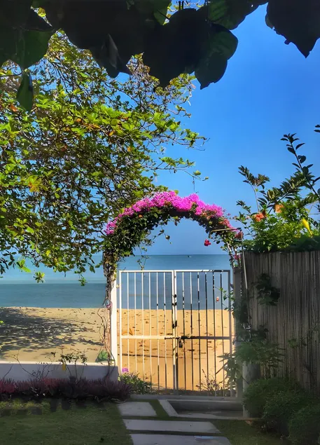 Smell rose beach garden - Image 1