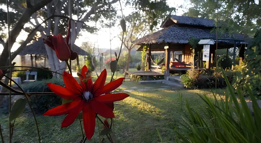 Bannamhoo Bungalows - Image 1