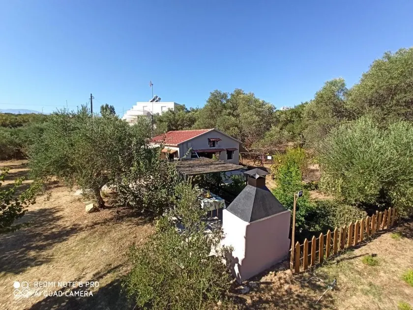 Olea Cottage - Image 1