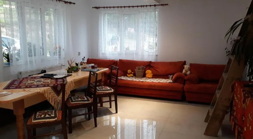 Casa Geanina - Image 1