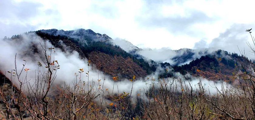 Organic Stays Manali - Image 1